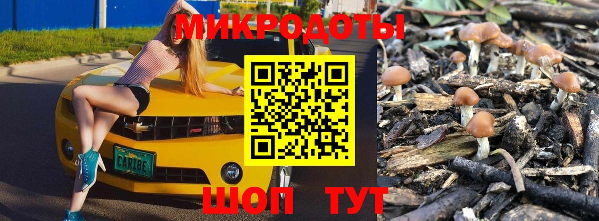 Псилоцибиновые грибы Psilocybine cubensis Оренбург